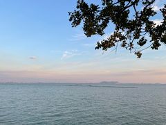 -贡湖湾湿地公园