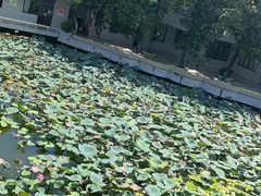 -上南瓦煲鸡·清远鸡·老字号(总店)