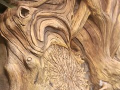 -君邦火锅(新疆大厦店)