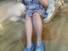 -Husky Go! 哈士奇体验馆·宠物咖啡厅狗咖