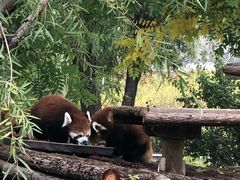 -鄂尔多斯野生动物园