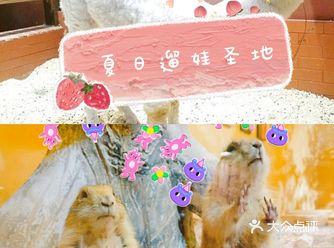 炎炎夏日来啦，宝贝们，快邀上你的小伙伴一起来玩耍吧！