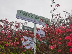 -木兰云雾山