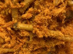 -大城·烧烤海鲜大排档(台东店)