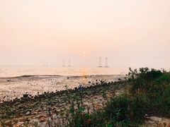 -宝安西湾红树林湿地公园