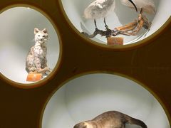 -陕西自然博物馆