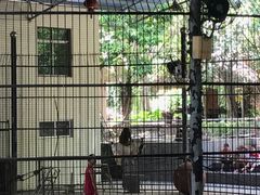 -广东茂名森林公园