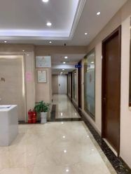 -碧莲盛·不剃发植发