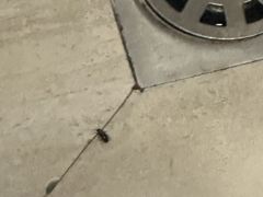 -寓米精品公寓(普君北路地铁站店)