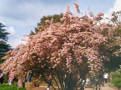 -国家植物园南园