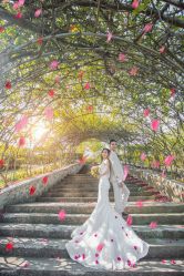 -现代经典婚纱摄影