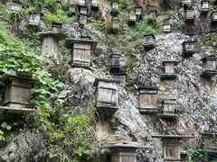 -神农架景区