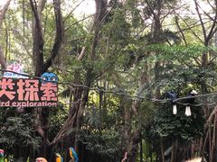 -广州长隆飞鸟乐园
