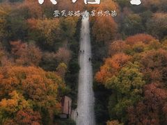 -灵谷景区