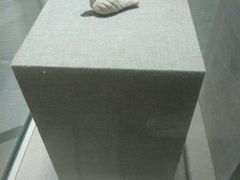 景点-南越王博物院(王宫展区)