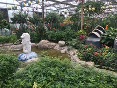 -南宫五洲植物乐园