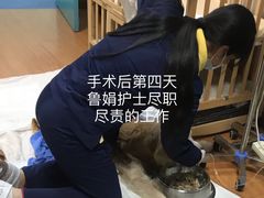 -北京观赏动物医院·24小时大型综合·猫专科·异宠专科