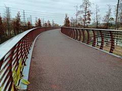 -王借岗森林公园