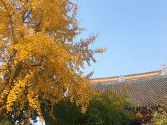 -常熟方塔园