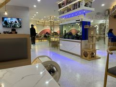 大堂-喵园·猫主题咖啡厅·撸猫·猫咖(国贸店)