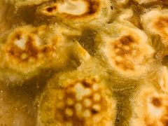 角瓜鸡蛋虾仁煎饺-添福来墨鱼饺子 · 海鲜东北菜(泡崖店)