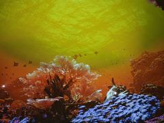 -海合安成都极地海洋公园