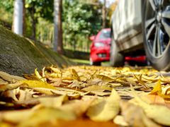 -网易（杭州）网络有限公司