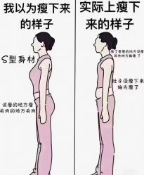 -香薇妮丝女子减肥院