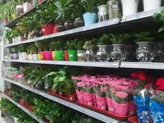 -美廉美多点(新龙店)