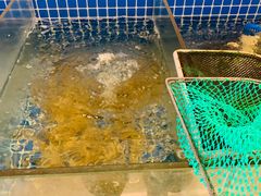 -面道赞宁海海鲜面(迎凤街店)