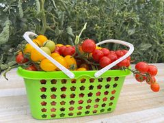 -兴芮温泉度假区