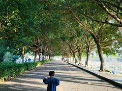 -风云岭森林公园