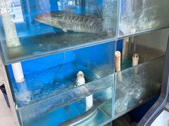-潮州菜馆(十里河店)