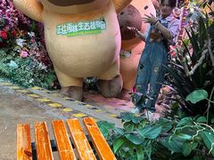 -正佳雨林生态植物园