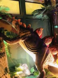 -恐龙探索乐园(磁器口店)