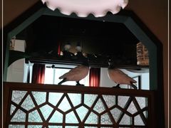 -大鸽饭(岗顶店)