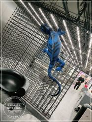 -斑斓色彩沙龙