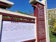 -特克斯八卦城