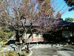 -名古屋城