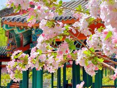 -北京动物园