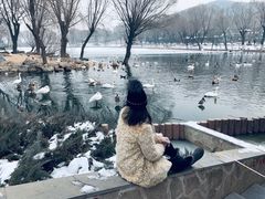 -石家庄市动物园