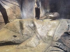 -波塞冬海底世界