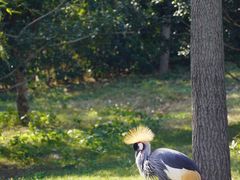 -南京金牛湖风景区