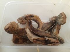 -刘妈菜馆(磁器口店)