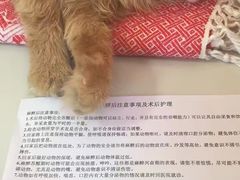 -美联众合动物医院·内科·皮肤科·外科(古城分院)