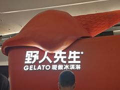 -野人先生现做冰淇淋(北京王府井东方新天地店)
