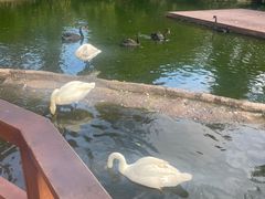 -海南热带野生动植物园