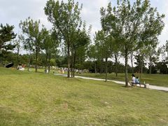 -小麦岛公园