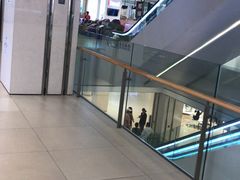 -合肥滨湖国家森林公园