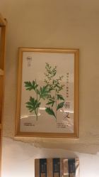 -徽娘子女性草本熏蒸养生SPA